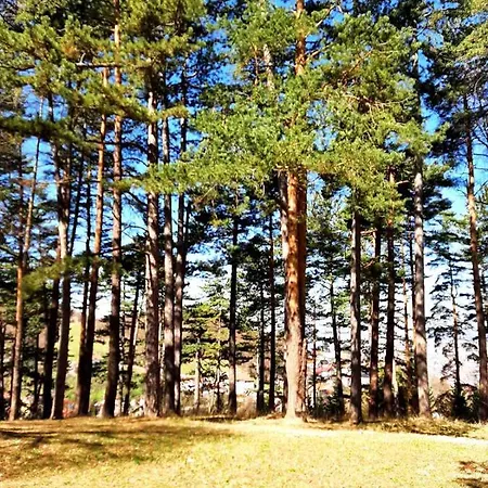 Beautiful House Overlooking 사라예보