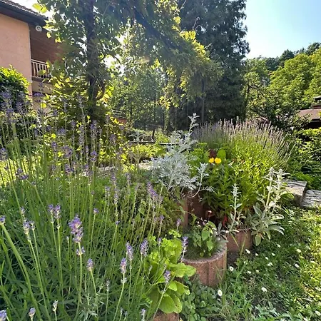 아파트 Beautiful House Overlooking