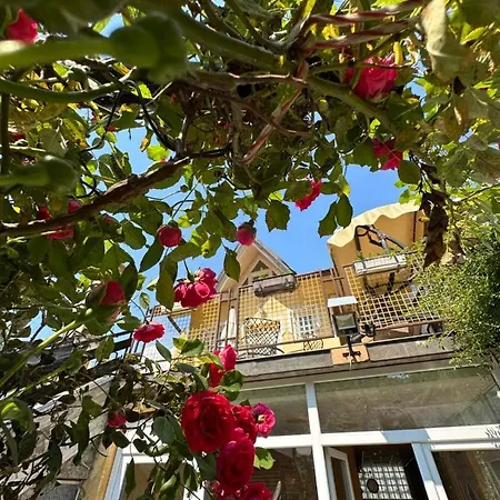 Beautiful House Overlooking Appartement *