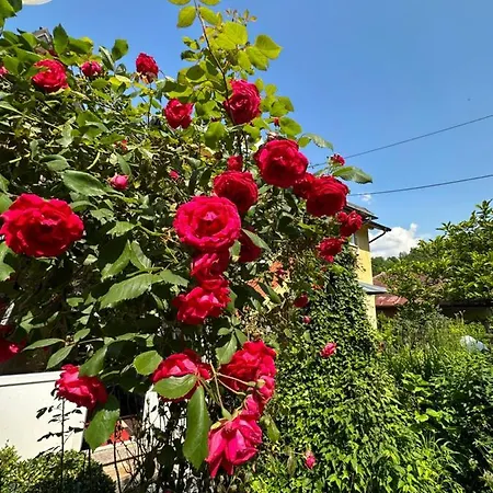 Beautiful House Overlooking